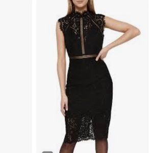 Bardot Lace Cocktail Dress